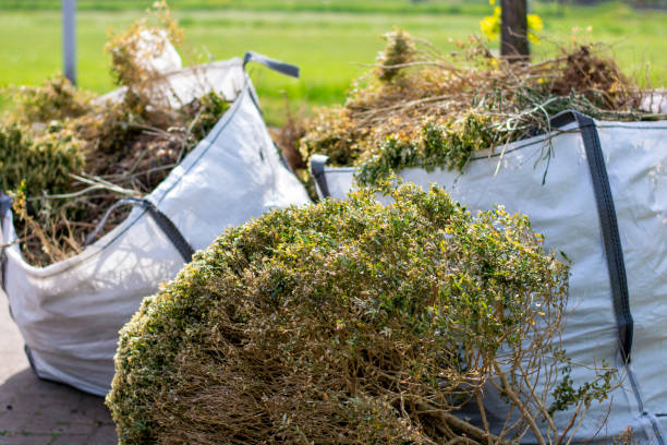 Best Yard Waste Removal  in Damascus, OR